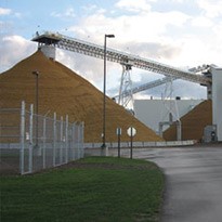 205_TCTR.jpg