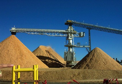 Stacker Feed Conveyor