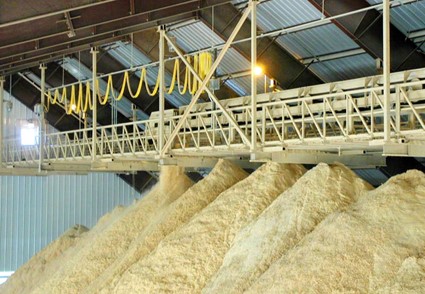 Shuttle Conveyor to Fill Building
